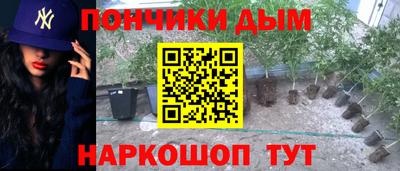 мет Можга