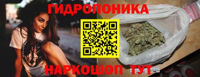 мет Можга
