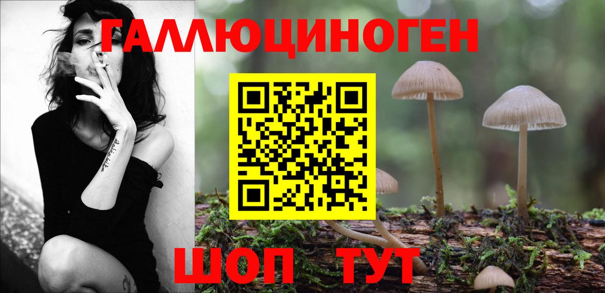 Сланцы  Псилоцибиновые грибы Psilocybine cubensis  Вход с VPN 