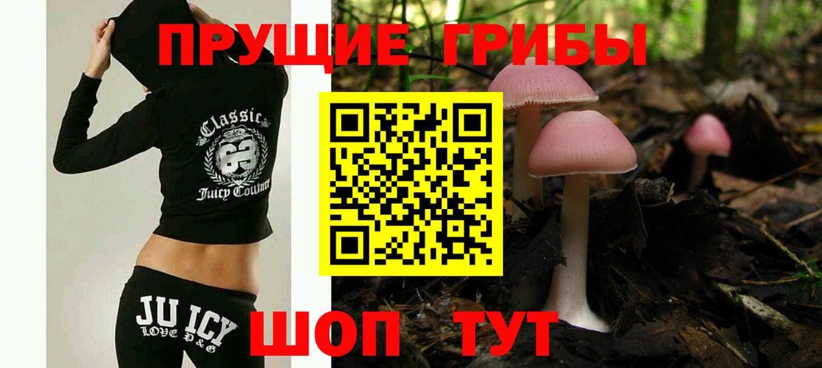 Псилоцибиновые грибы Psilocybe Сланцы
